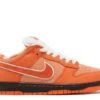 Nike Concepts X Dunk Low SB 'Orange Lobster'