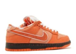 Nike Concepts X Dunk Low SB 'Orange Lobster' -Best Sneaker Store 3 161
